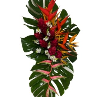 71CECE1A-A998-45AD-B9E3-B770AC842C4A