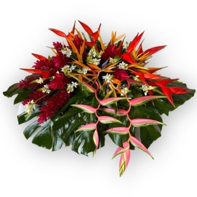 AC7BE5C7-C09D-400A-A327-A929C328AFEE