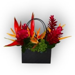 Bazaart_10C57B7B-A53C-406C-9E35-6D329A22D36C