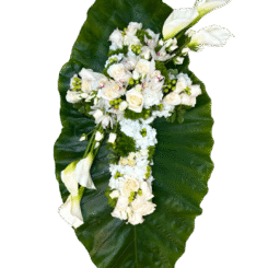 Bazaart_29702CC9-AC0B-4F7A-8E8A-0621D14DA77D