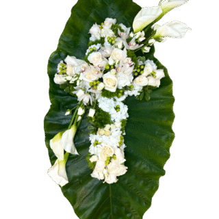 Bazaart_29702CC9-AC0B-4F7A-8E8A-0621D14DA77D