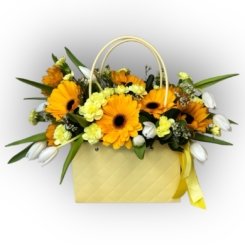 Bazaart_650B2436-E4C4-41B9-86C4-C49A876CF554 2