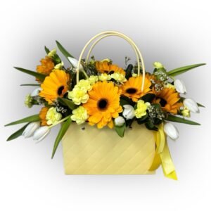 Cumpleaños | Felicidades