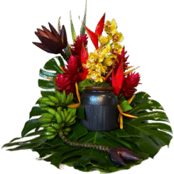 Bazaart_9E2E09B5-C1C4-400F-BA06-740DB9D5CF51