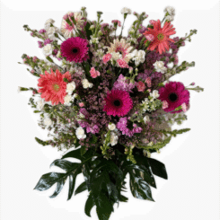 D3208026-9BF7-4105-896A-A8BD9BFE6B2C