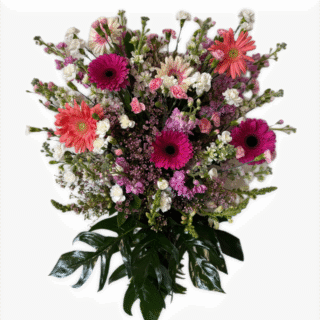 D3208026-9BF7-4105-896A-A8BD9BFE6B2C