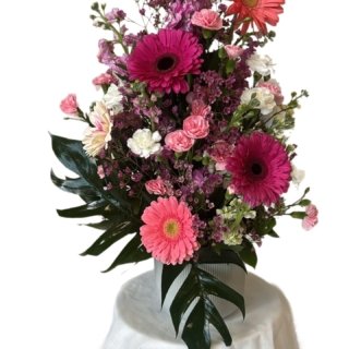 DB1B292E-B8DA-4AE8-B313-93454512E970