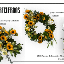 Presentación Diapositivas Portfolio Fotografía Minimalista Aesthetic Blanco y Negro 10