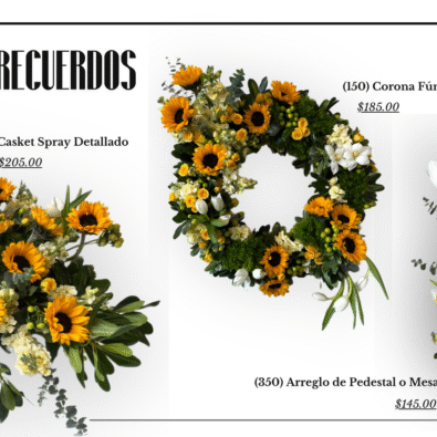 Presentación Diapositivas Portfolio Fotografía Minimalista Aesthetic Blanco y Negro 10