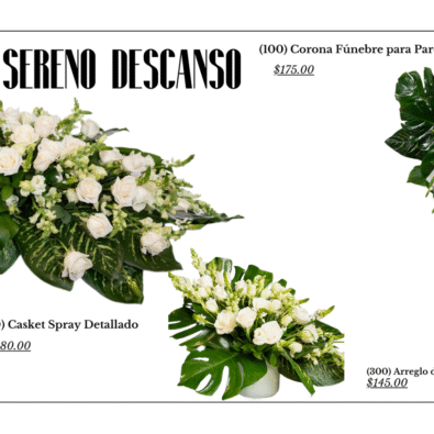 Presentación Diapositivas Portfolio Fotografía Minimalista Aesthetic Blanco y Negro 6