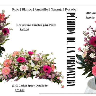 Presentación Diapositivas Portfolio Fotografía Minimalista Aesthetic Blanco y Negro 7