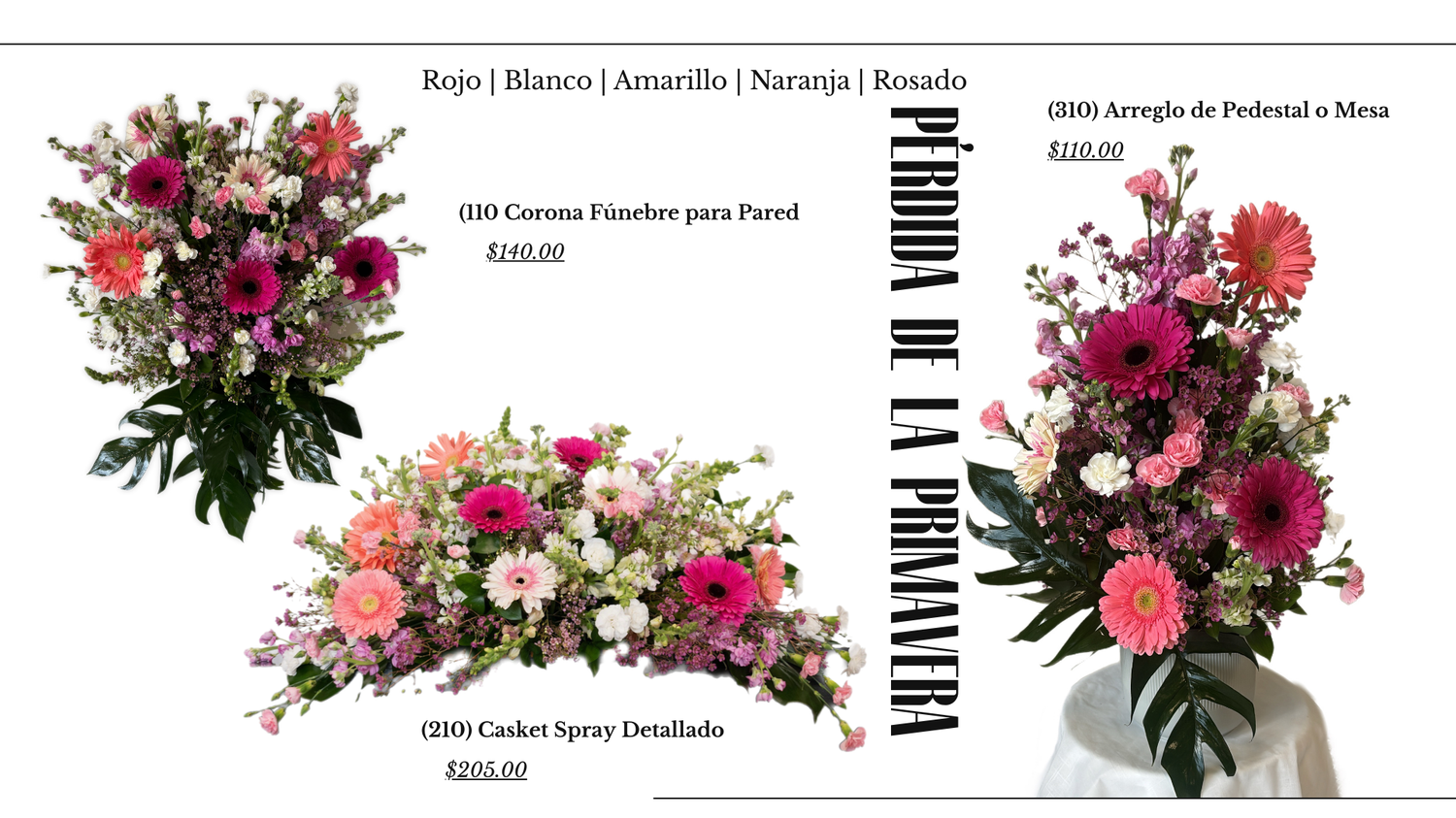 Colección Pérdida de la Primavera