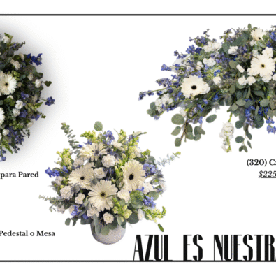 Presentación Diapositivas Portfolio Fotografía Minimalista Aesthetic Blanco y Negro 8