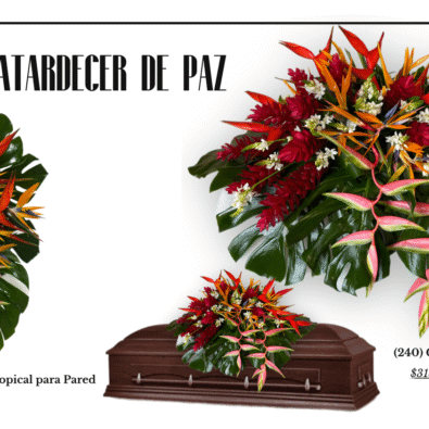 Presentación Diapositivas Portfolio Fotografía Minimalista Aesthetic Blanco y Negro 9