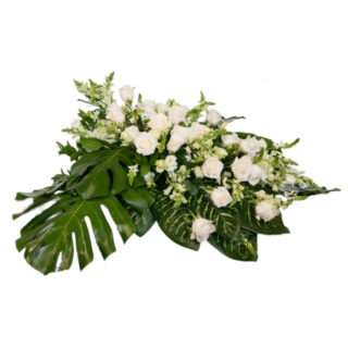 Untitled design - 2025-12-04T182453.499