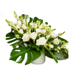 Untitled design - 2025-12-04T182648.126