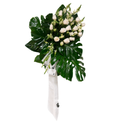 Untitled design - 2025-12-04T182937.731