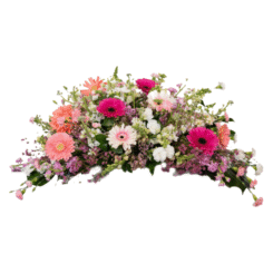 Untitled design - 2025-12-04T191441.147