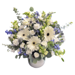 Untitled design - 2025-12-04T193932.749