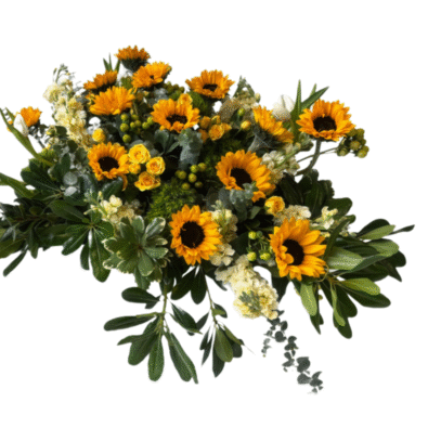 Untitled design - 2025-12-04T200103.252