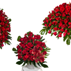 Untitled design - 2025-12-08T180604.985