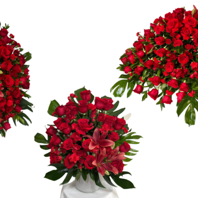 Untitled design - 2025-12-08T180604.985