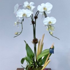 83AC74B9-01C3-4C0B-AF3D-1F21ECD03C40