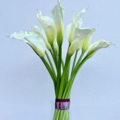 87DD27A5-559A-440C-B85D-5C8197E3237C