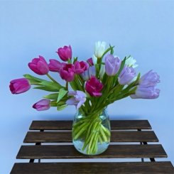 Bazaart_9DB659BF-E0A7-4FD5-952E-A1B57A0828EF