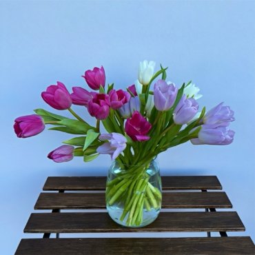 Bazaart_9DB659BF-E0A7-4FD5-952E-A1B57A0828EF