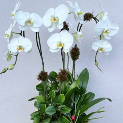 DAA49ED3-9E34-4C96-9F8D-5A5ADD3C8F17